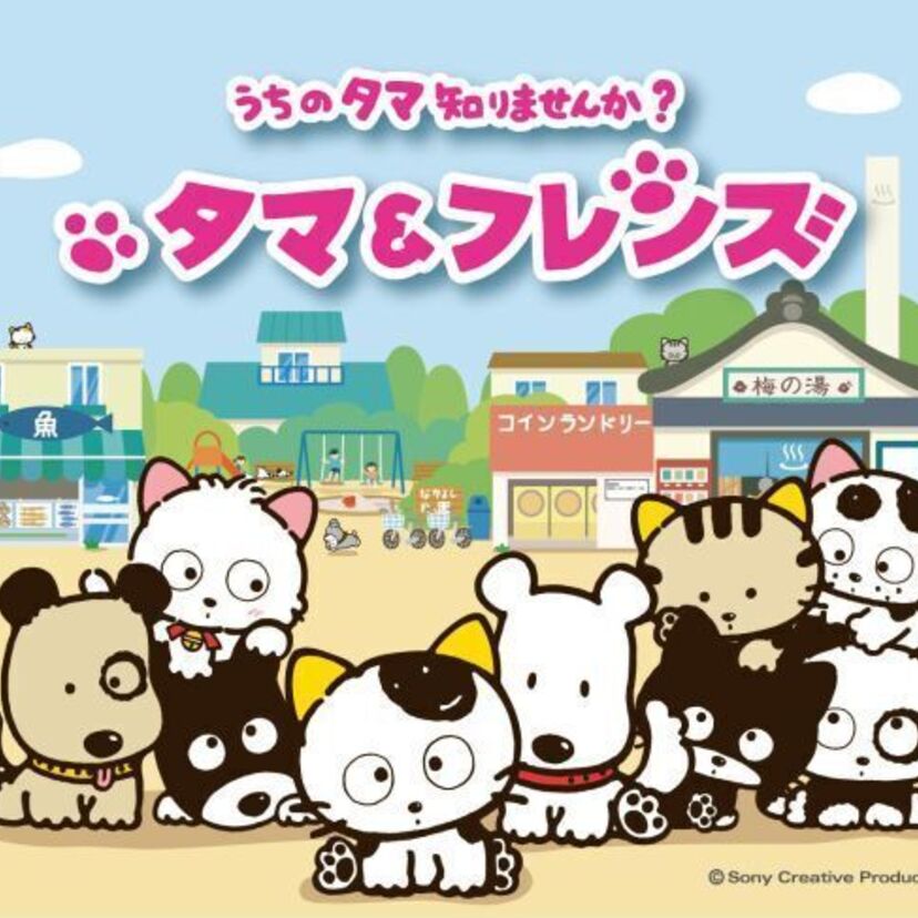 『タマ&フレンズ～うちのタマ知りませんか?～』が22年ぶりに新作アニメで復活！10月1日から放送スタート！！