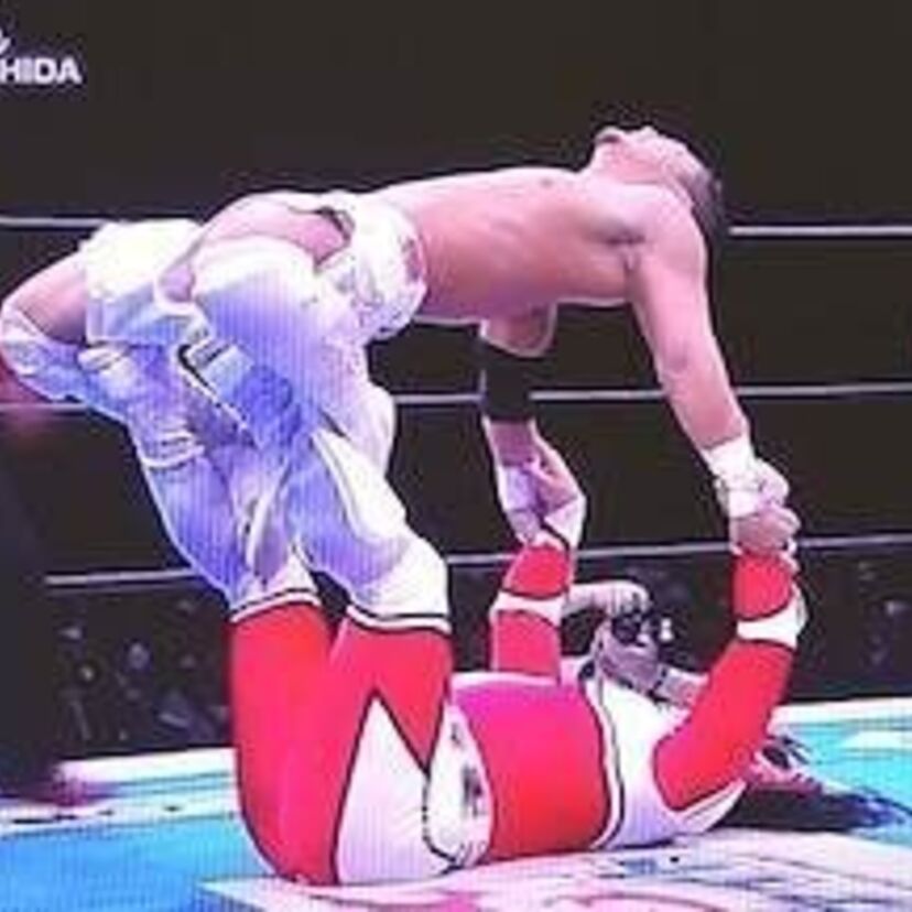 痛くなさそうなプロレス技　【関節技・絞め技】編