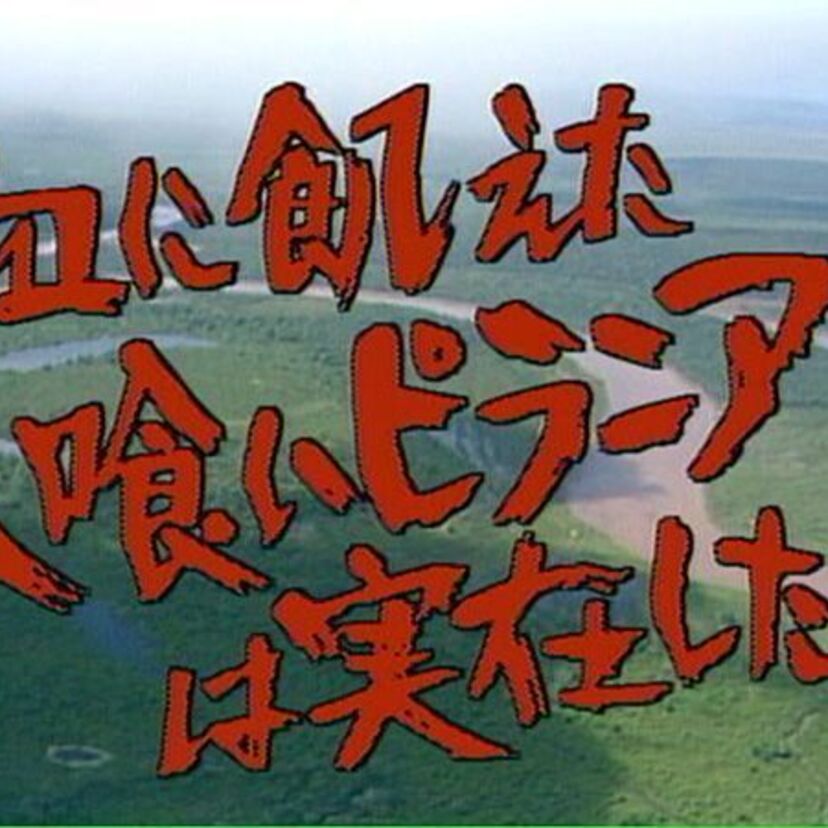 名言・珍言！7年間、観る者に恐怖と興奮を与え続けた「水曜スペシャル『川口浩探検隊シリーズ』」全49回の、あまりに秀逸な番組タイトルをチェック！！