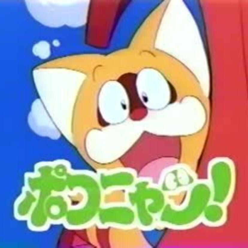 アニメ『ポコニャン!』ネコ？それともタヌキ？！「ポコニャン」「ニャン」の口調で癒された！！